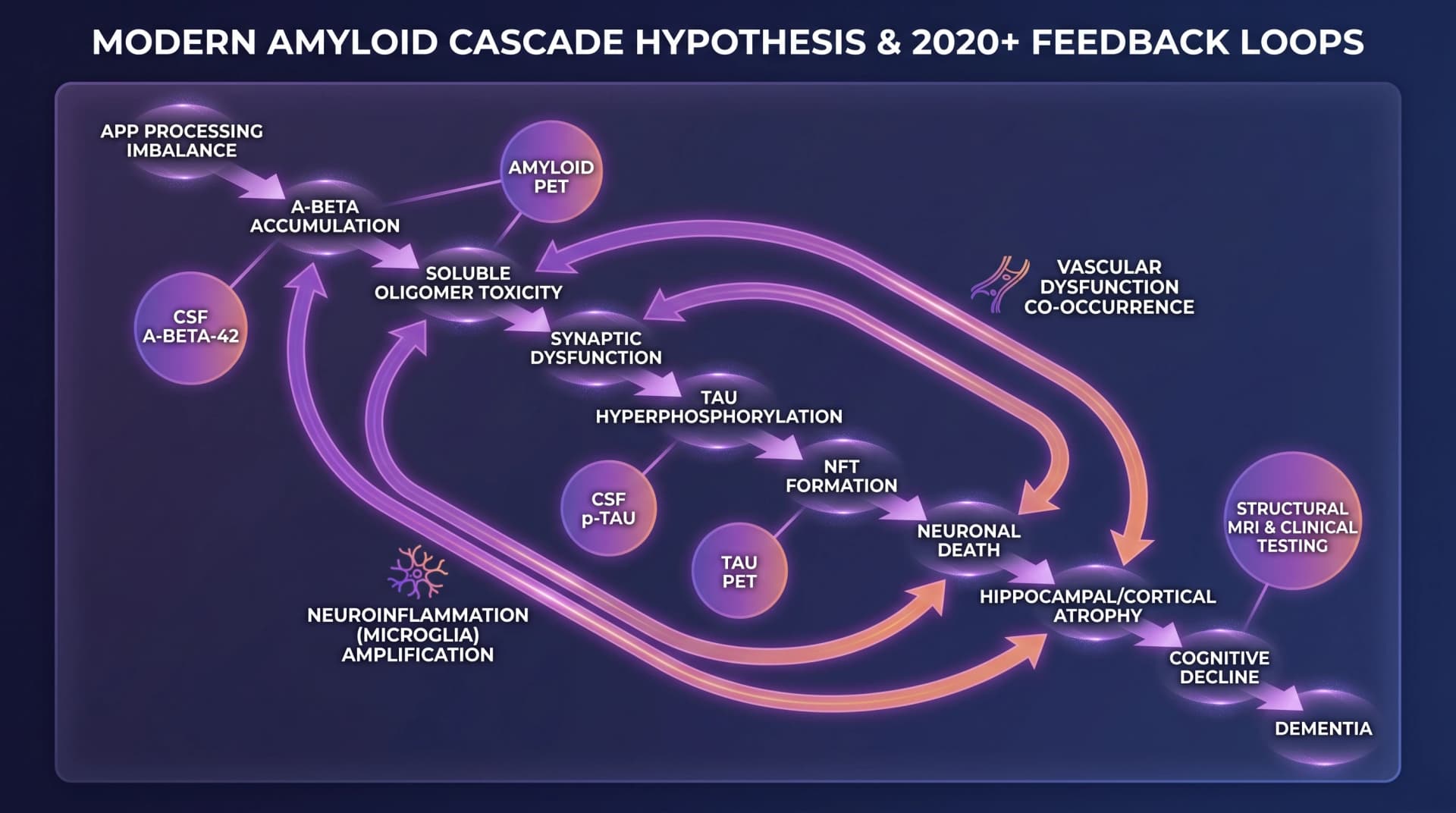 현대 amyloid cascade 가설: Abeta 축적이 tau 병리, synaptic dysfunction, neuroinflammation 피드백, 바이오마커 측정 지점을 촉발 (SciFig로 생성한 이미지)