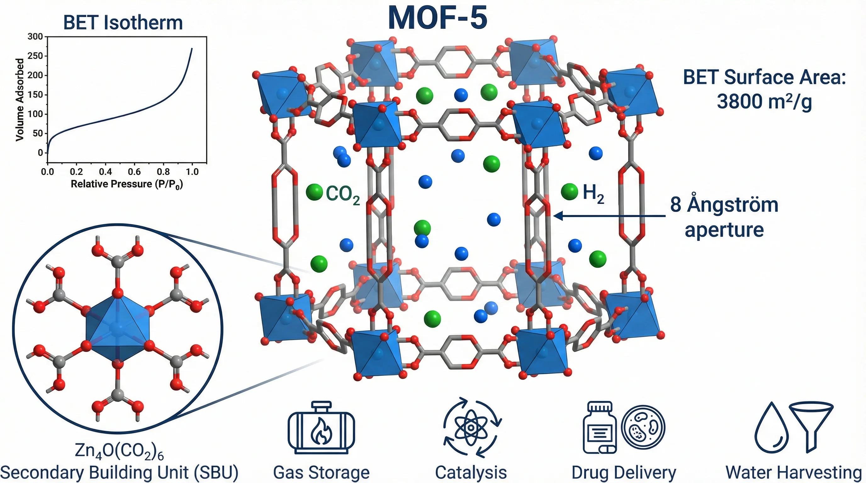 10 Best Scientific Illustration Tools in 2026