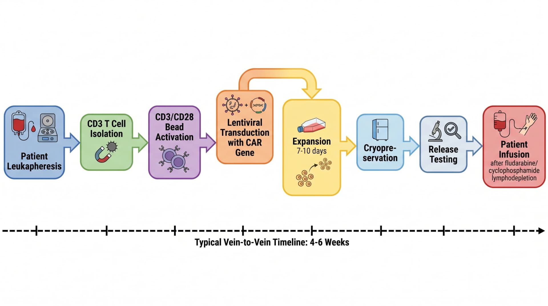 CAR-T manufacturing: leukapheresis → CD3 isolation → activation → transduction → expansion → infusion (Figure generated with SciFig)