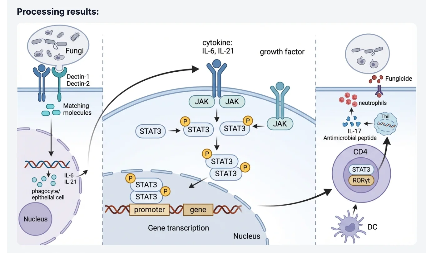 从草图 AI 渲染的专业图