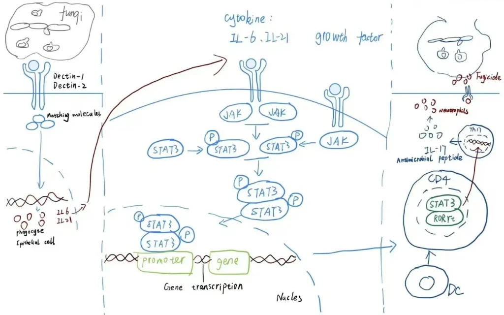 上传手绘通路草图