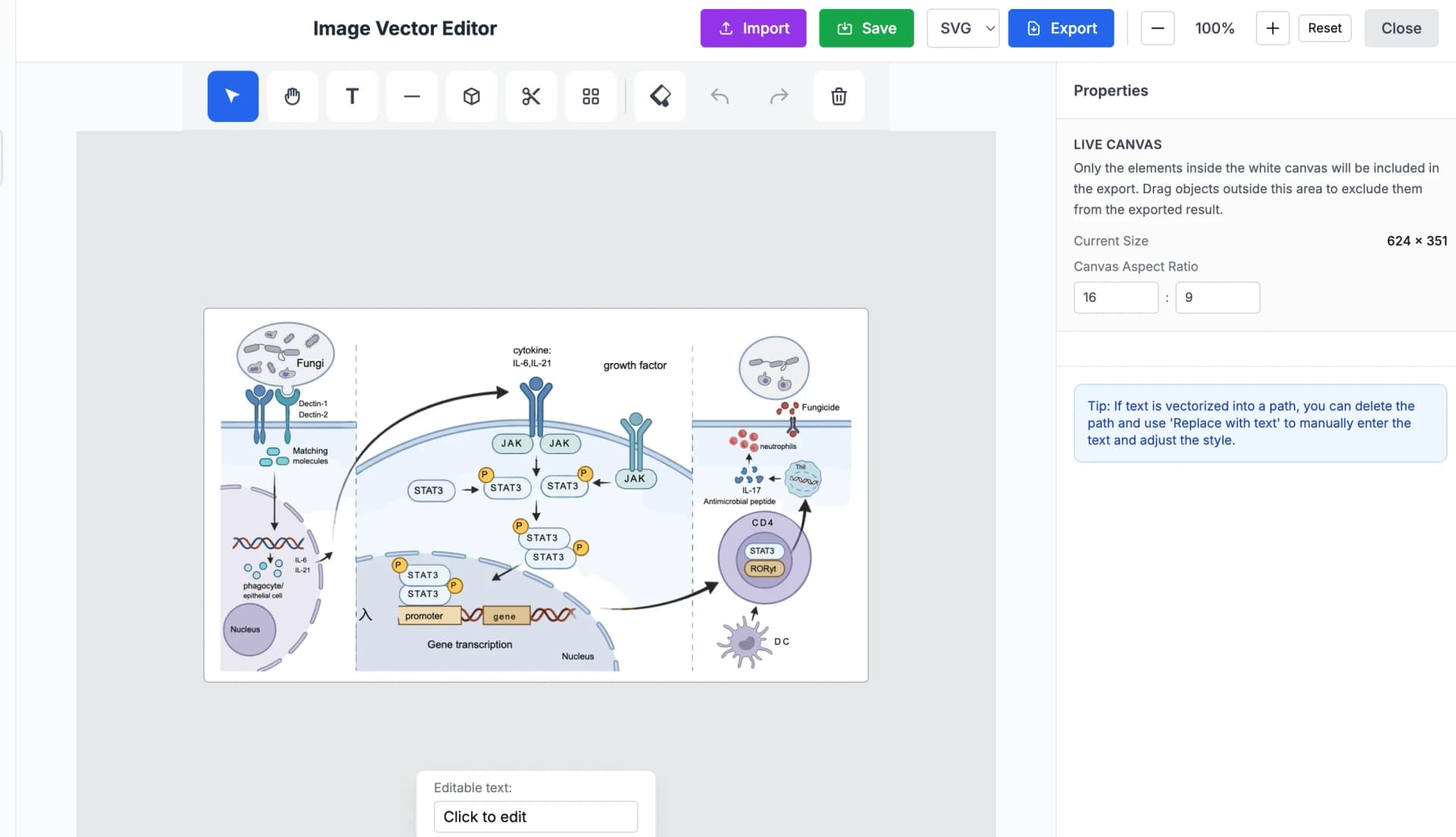 在 SVG 编辑器中编辑矢量化图形