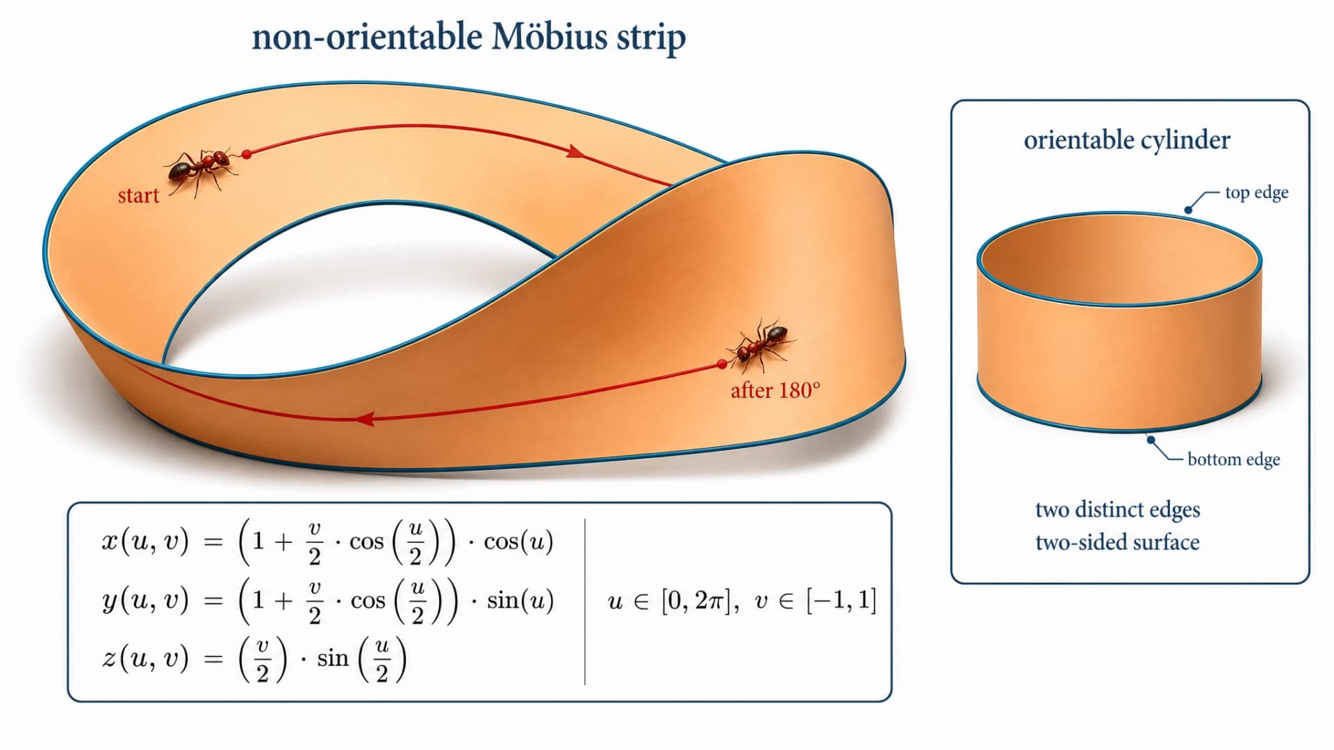 GPT Image 2: Möbiusband in 3D gerendert mit sichtbarer Halbverdrehung, rote Ameise zeichnet die Oberfläche zur Demonstration der Einseitigkeit, vollständige Parametergleichung und orientierbares Zylinder-Inset zum Vergleich