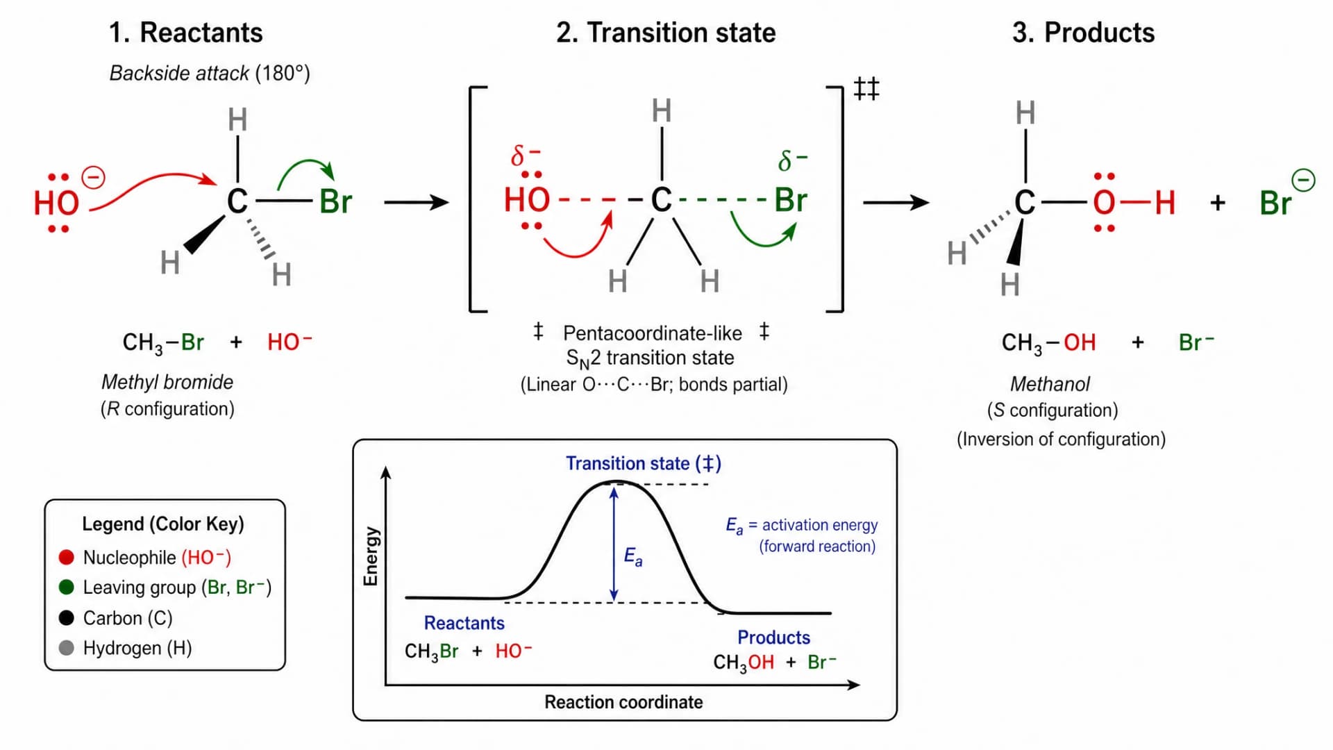 GPT Image 2: mecanismo de sustitución SN2 con notación química completa incluyendo estado de transición de doble daga estereoquímica R-S y leyenda de color por elemento