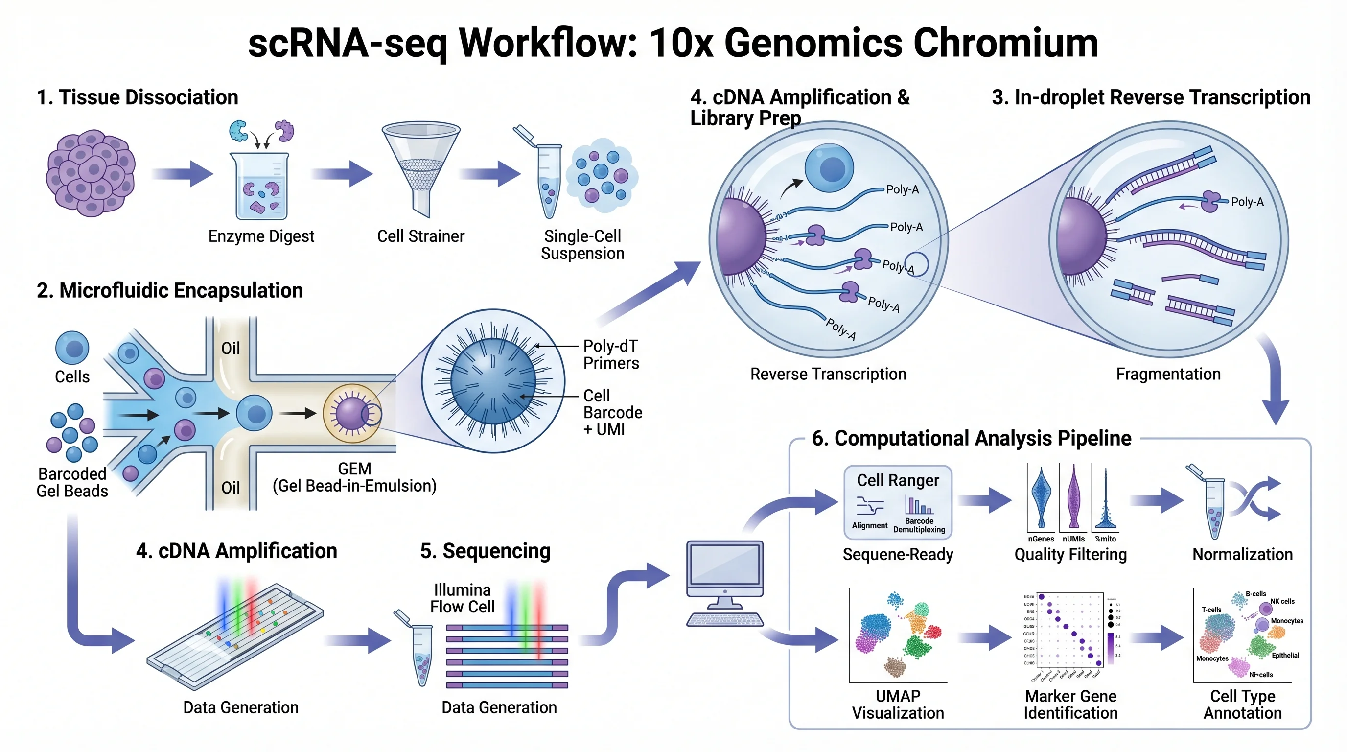 Graphical Abstracts That Get More Citations