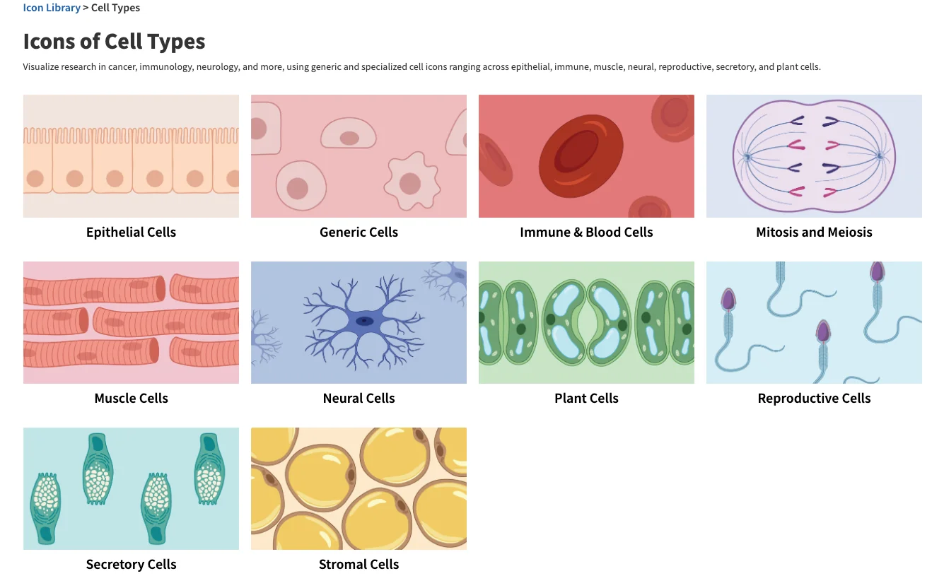BioRender scientific interface