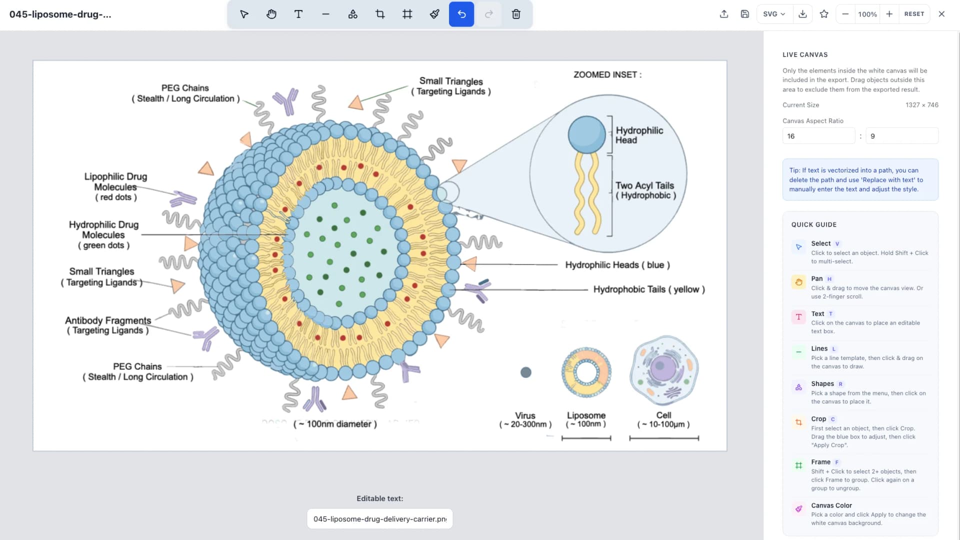 Vectorization feature